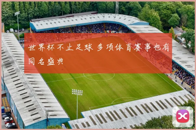 世界杯不止足球 多项体育赛事也有同名盛典