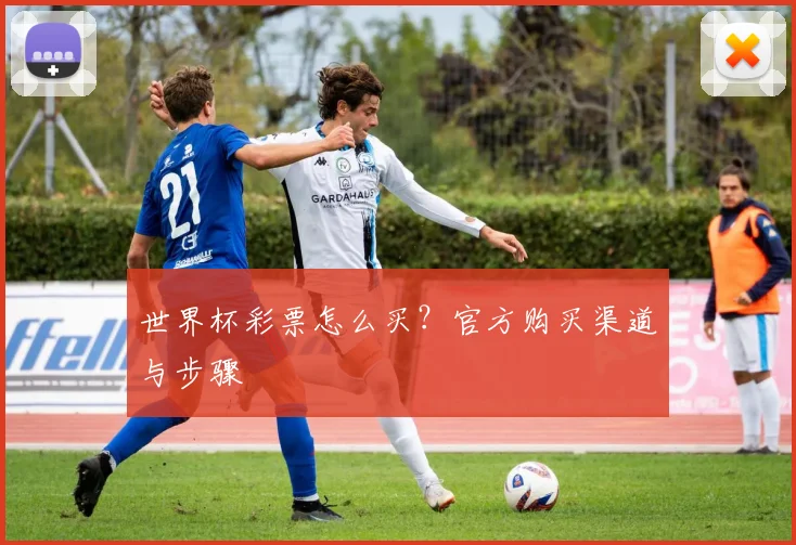世界杯彩票怎么买?官方购买渠道与步骤