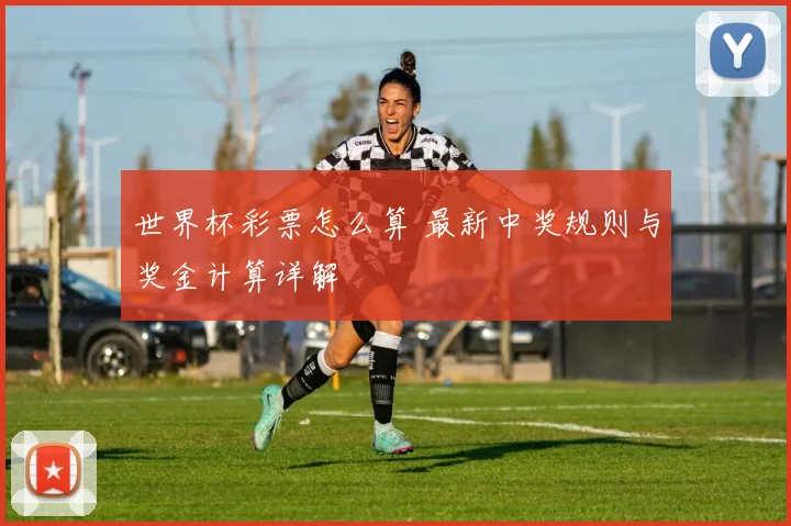 世界杯彩票怎么算 最新中奖规则与奖金计算详解
